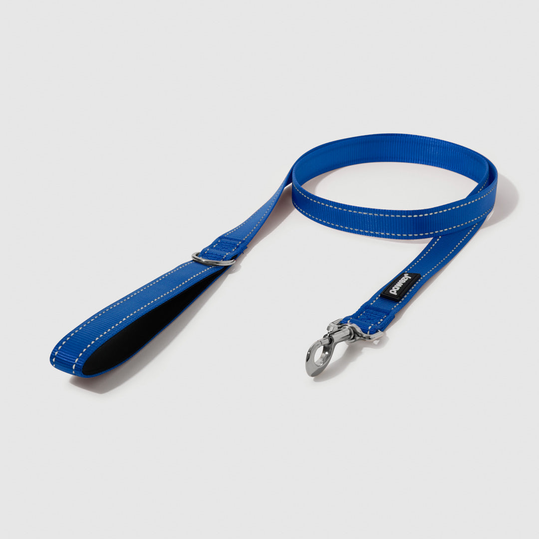 Reflective Leash