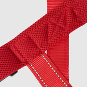EasyFit No-Pull Harness