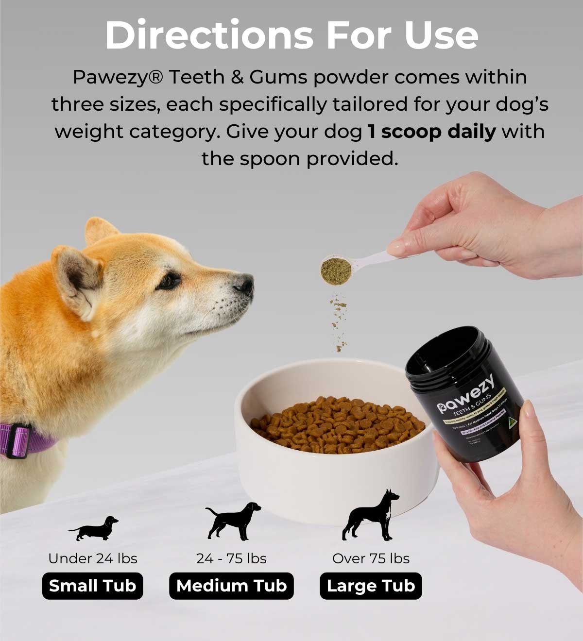 Teeth & Gums Powder