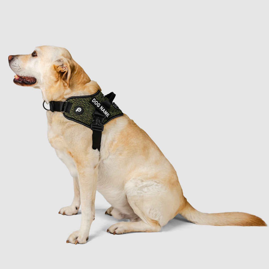 EasyFit Flex No-Pull Harness
