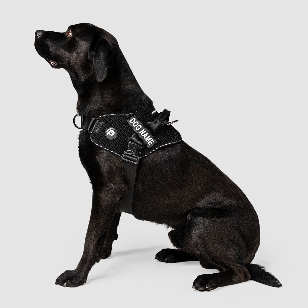 EasyFit Flex No-Pull Harness