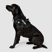 EasyFit Flex No-Pull Harness