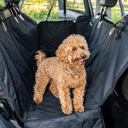 BackSeat Car Cover