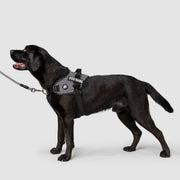 EasyFit Flex No-Pull Harness