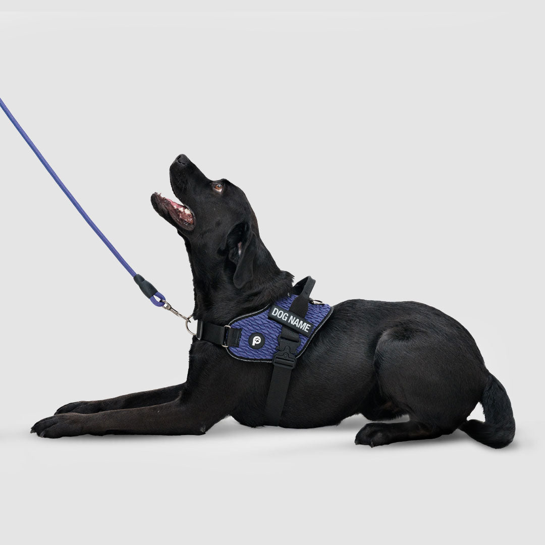 EasyFit Flex No-Pull Harness