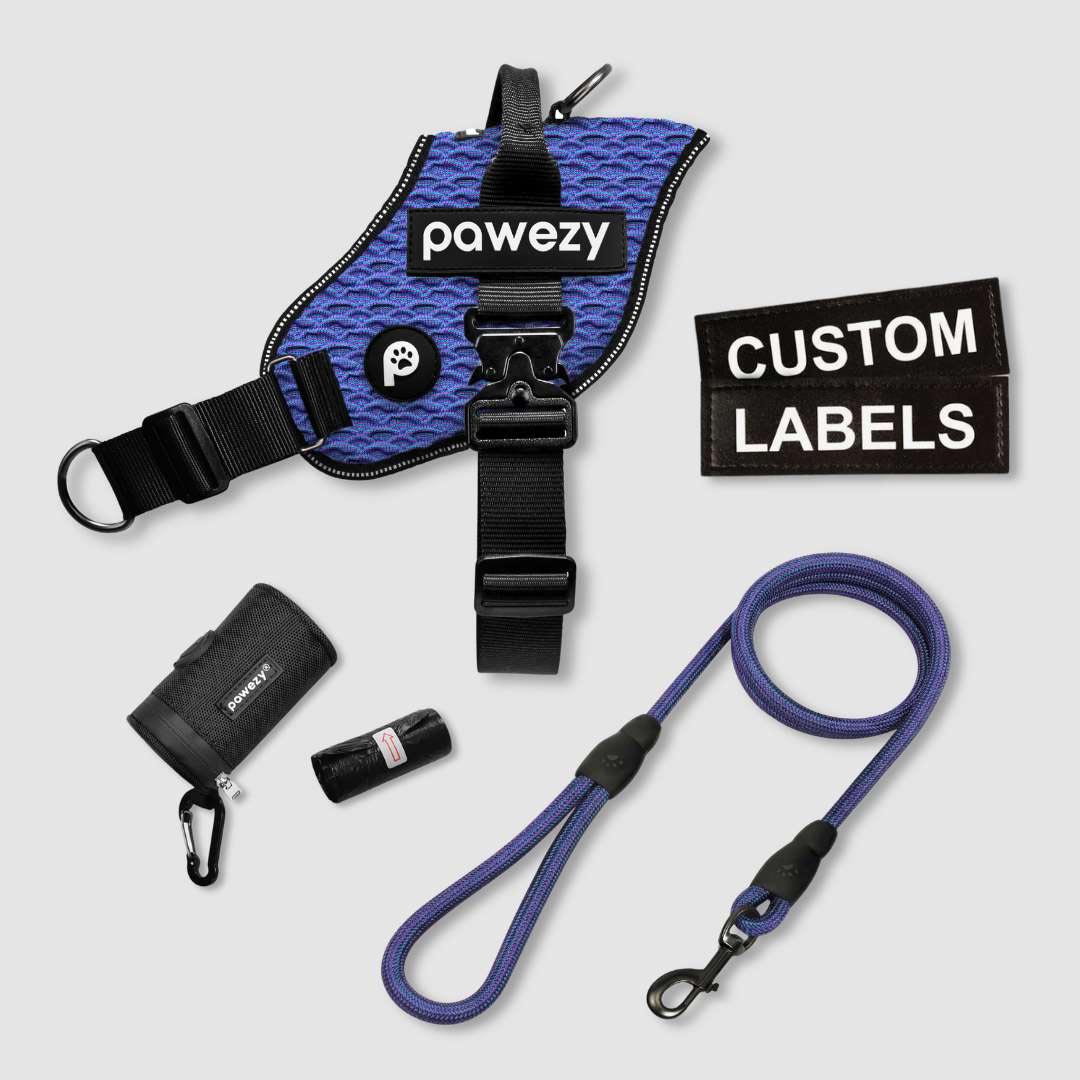 EasyFit Flex No-Pull Kit