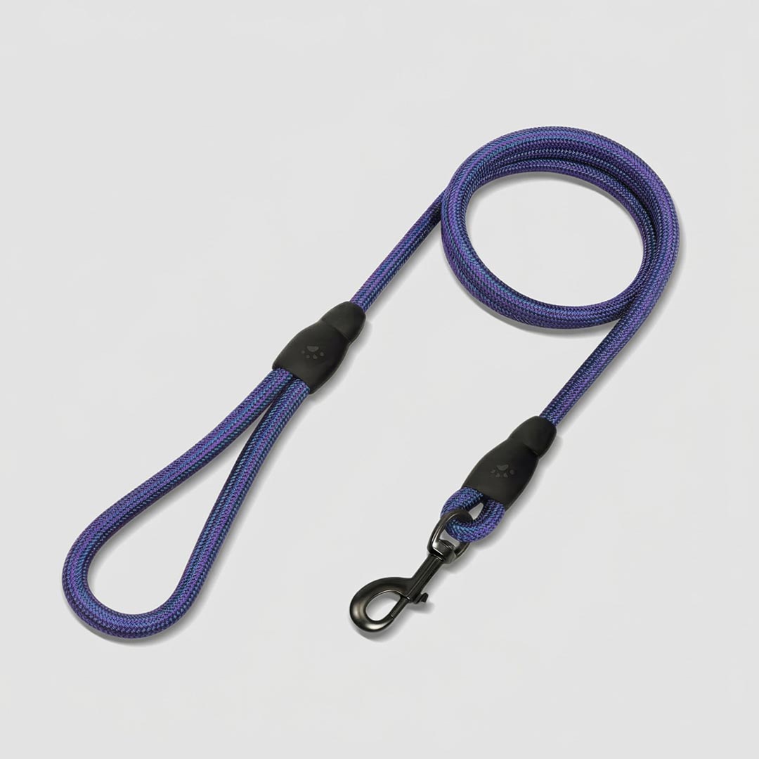 EasyFit Flex No-Pull Kit