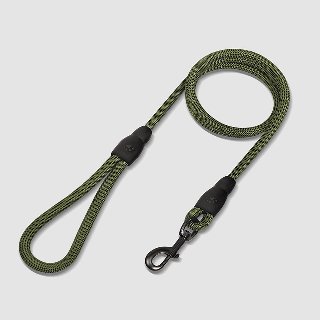 EasyFit Flex No-Pull Kit