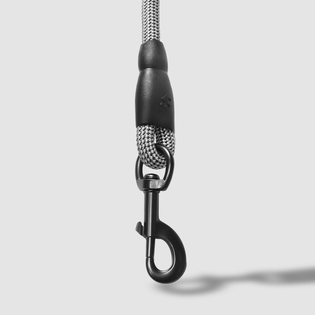 Flex Rope Leash