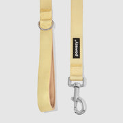 Dual-Tone Leash