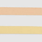 Dual-Tone Leash
