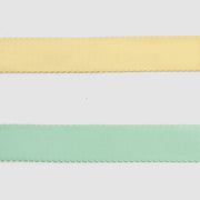 Dual-Tone Leash