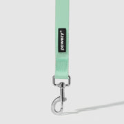 Dual-Tone Leash