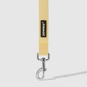 Dual-Tone Leash